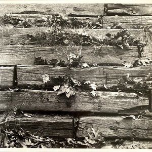 c1970 Original Wood Fence Steven Willhite Glen Ellen IL Black White Photograph